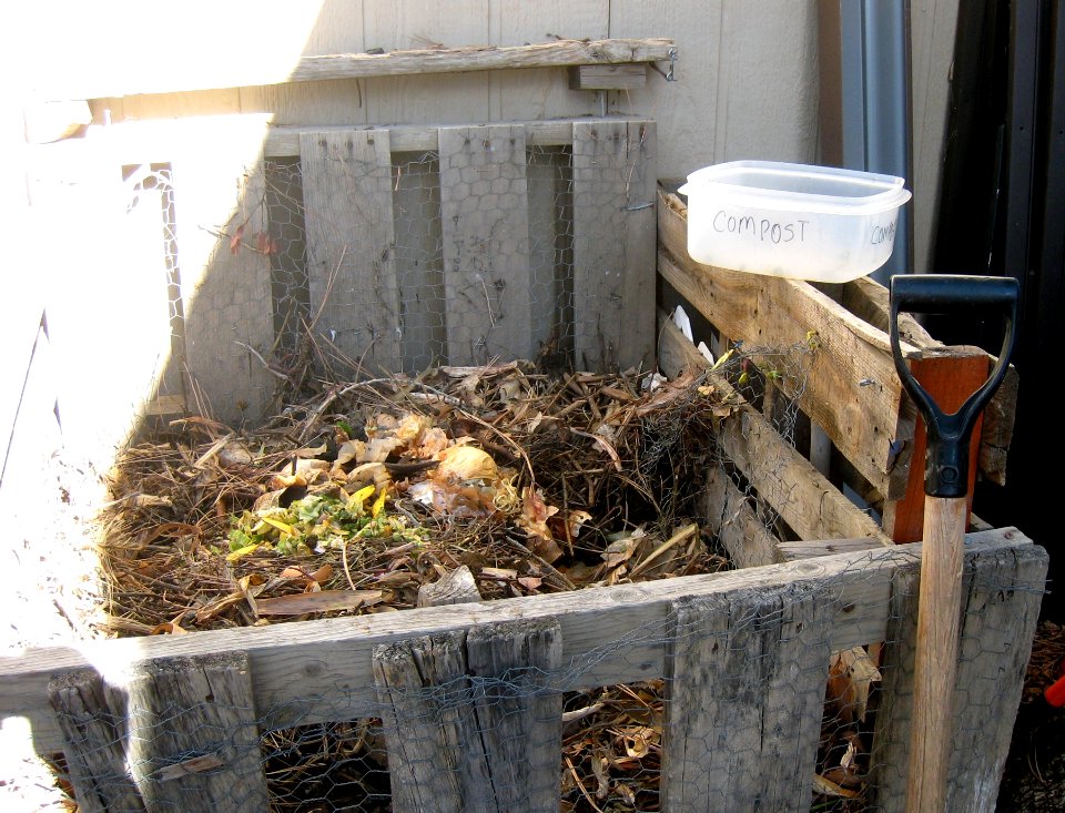 Tending the Compost Bin