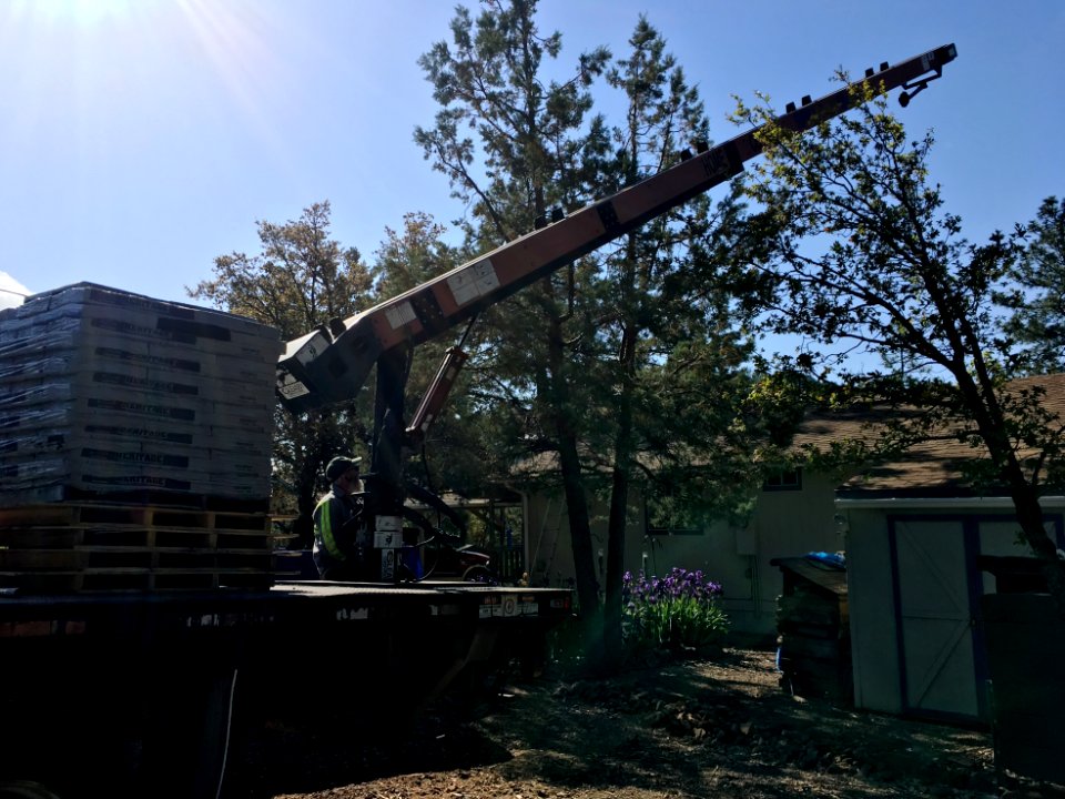 The Shingles Are Here!