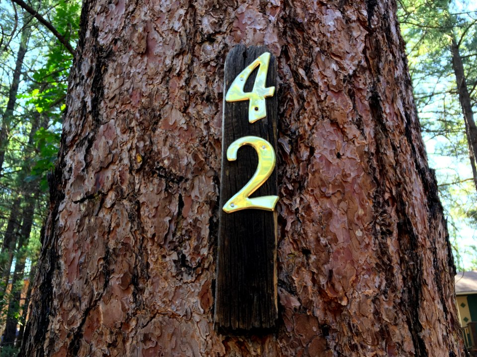 The Ultimate Tree for Life, The Universe and Everything