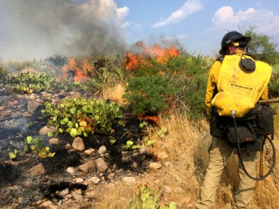 2020 BLM Photo Contest: Crews