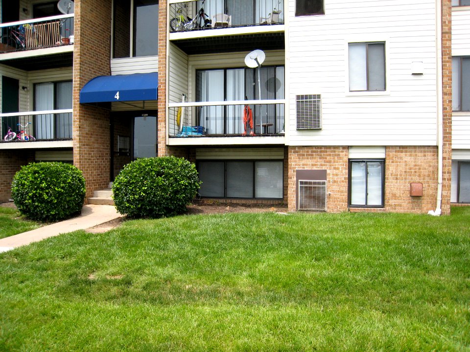 Dominoe's Apartment