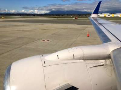 Winging It Home