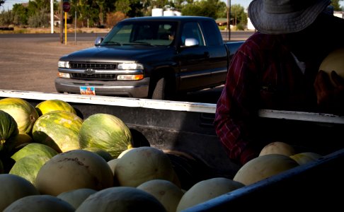 Greg Vetere, Melon Farmer Extraordinaire!