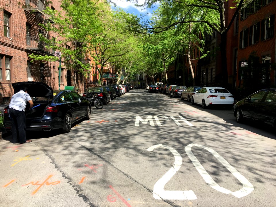 Trees Grow in Other Parts of the City than Brooklyn