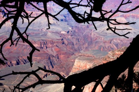 2020/366/50 Grasping the Inner Gorge