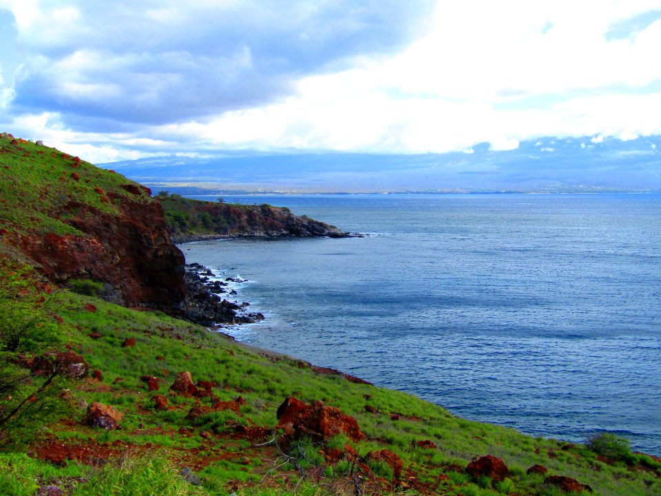 Whale Lookout Point