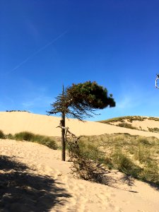 Dunes at National Trust, Lifeboat Road