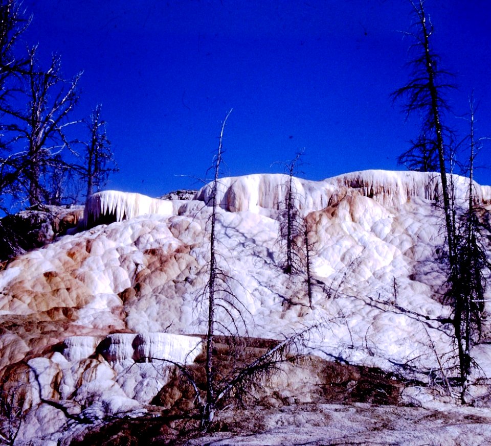 Yellowstone Mammoth Hot Springs (2)