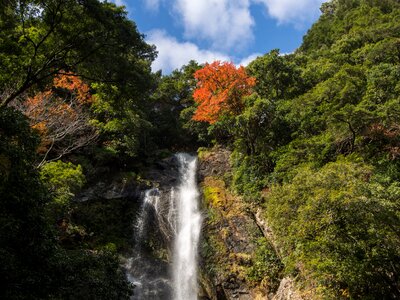 Kumamoto waterfall autumnal leaves photo