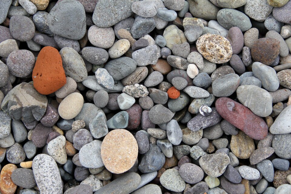 Coastline seaside shore