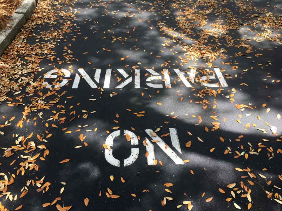 Leaves Don't Park