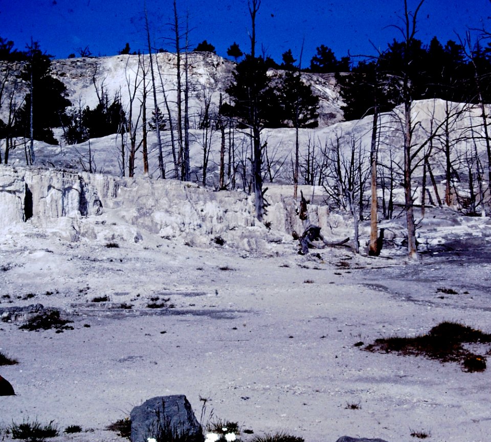 Geyser area of Yellowstone