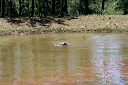 Found Me a Mudhole!