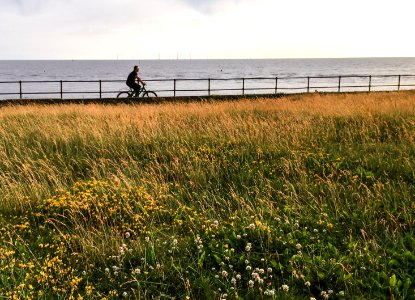 coast sunset cyclist