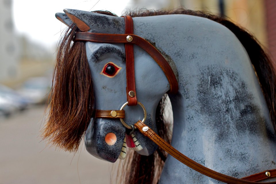 2011/365/341 Neigh