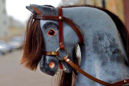 2011/365/341 Neigh