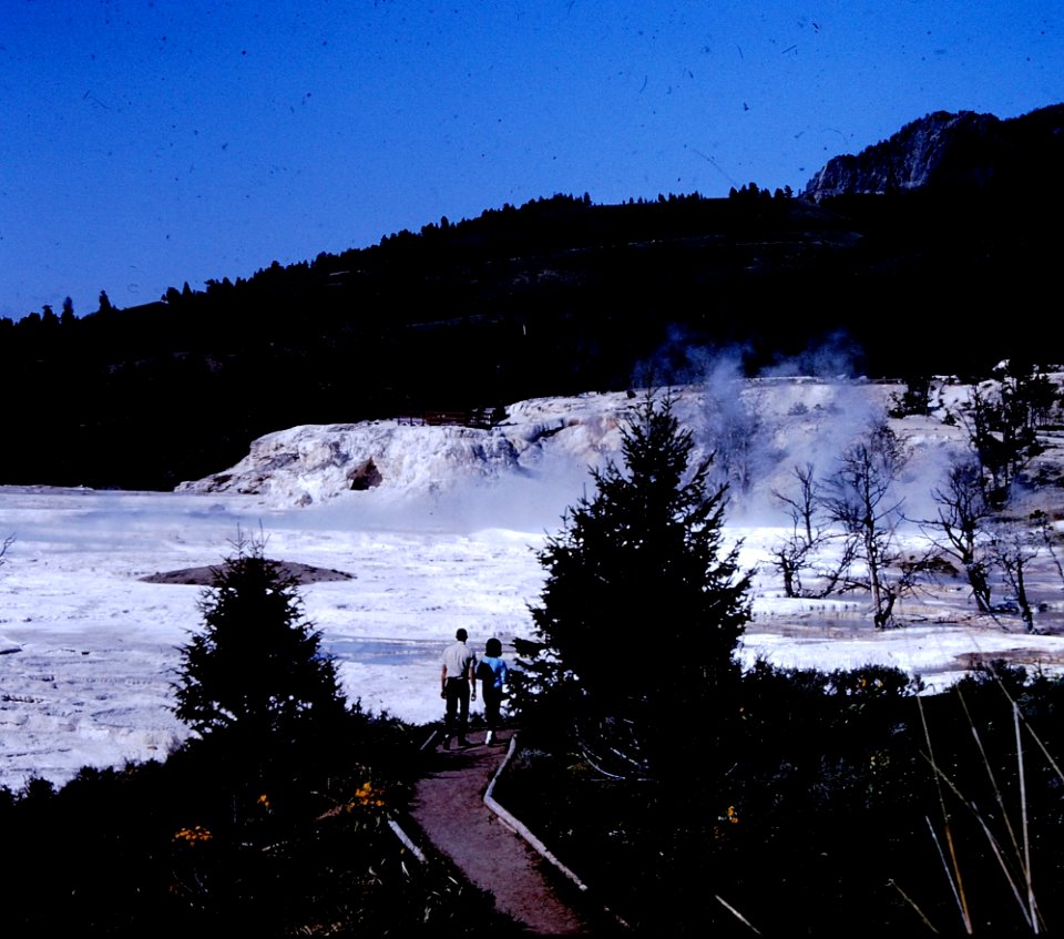 Unknown Tourists at Yellowstone's geysers