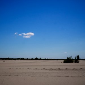 IMG 0641