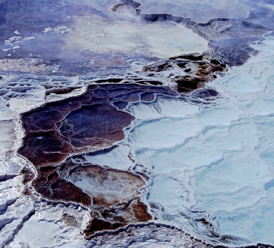 Yellowstone Mammoth Hot Springs (7)
