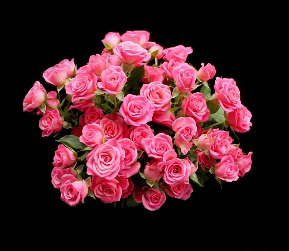 Red flowers bouquet