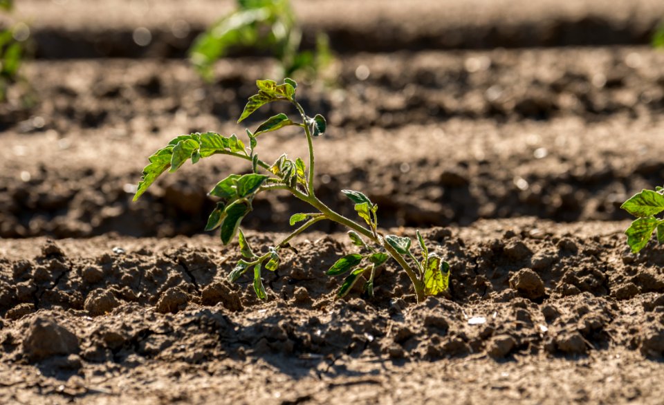 20150415-NRCS-LSC-0330