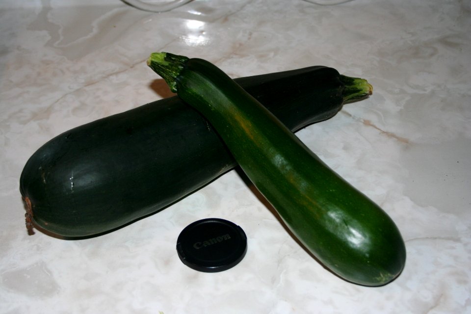 The Zuchinni That Ate Arizona