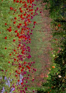 Mount Auburn Cemetery: Eternally Green