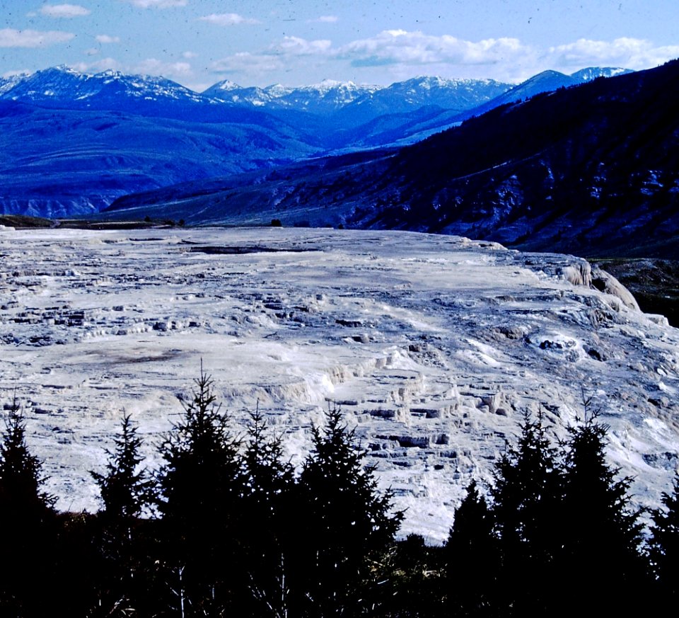 Yellowstone Mammoth Hot Springs (11)