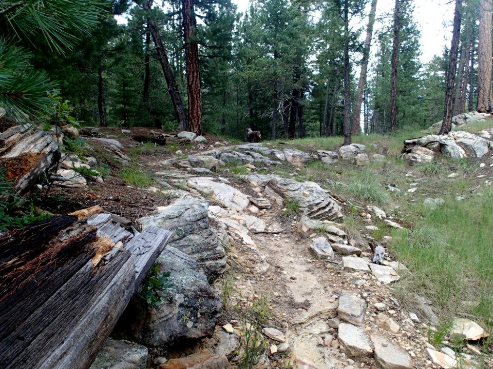 Follow the Cairns