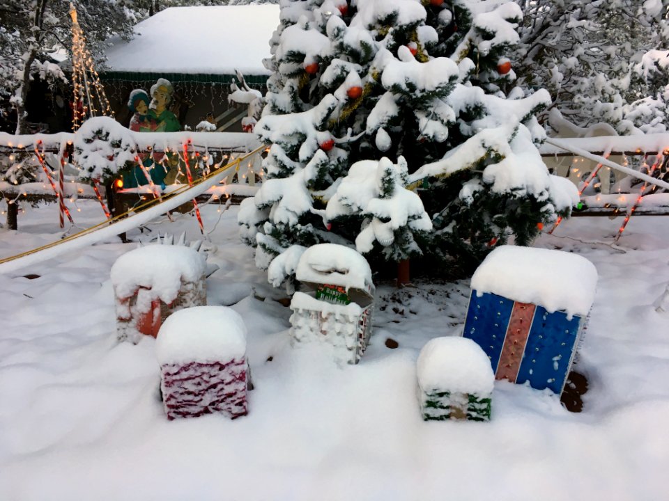 Presents Under the Tree