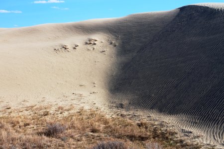 Great Sand Hills Light and Shade