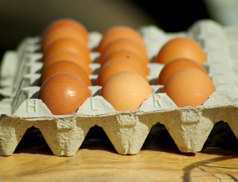 Hens kitchen egg carton