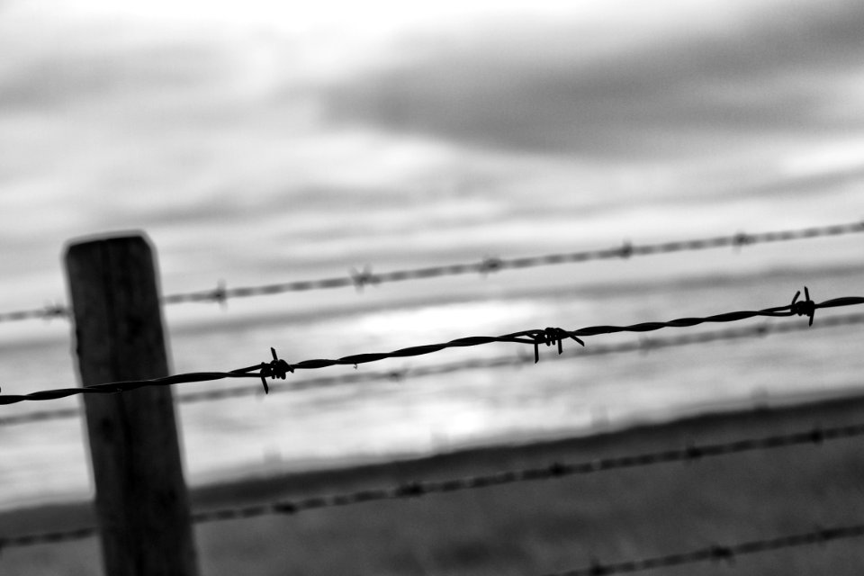 The Boundary Zone