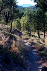 Walking Out Pine Canyon Trail 26