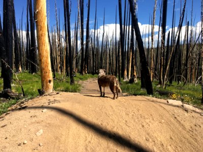 This is Not a Road