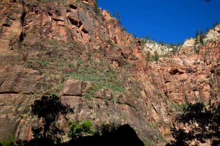 Trees, Rock, and Sky
