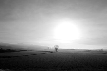 Nature horizon backlight