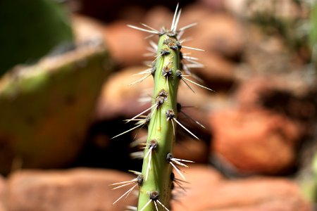 All Along the Spine