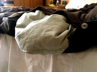 The Creature Inside my Comforter