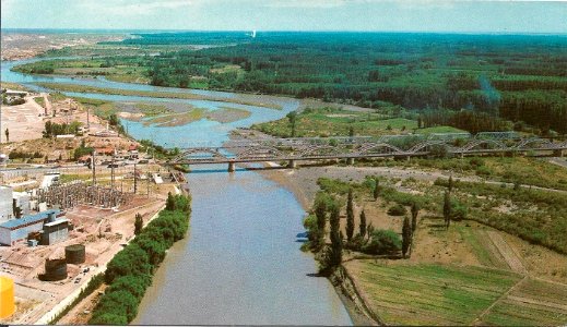 Puentes RN22 - Neuquén