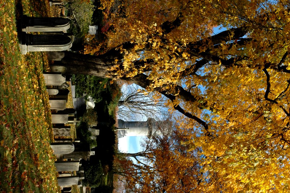 Fall at Mount Auburn Cemetery
