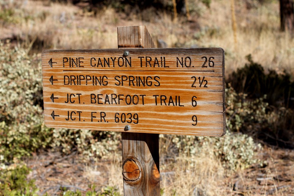 Pine Trail Juncture