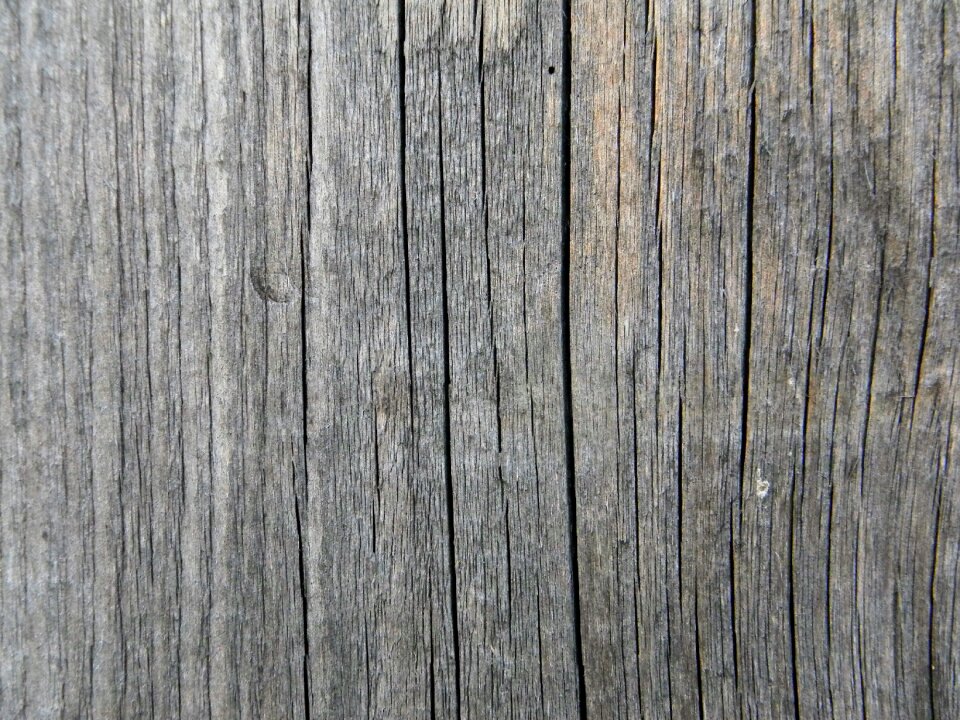 Wood background boards old boards photo