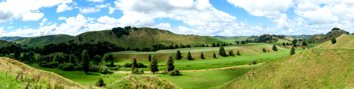 Entlang Forgotten World Highway photo