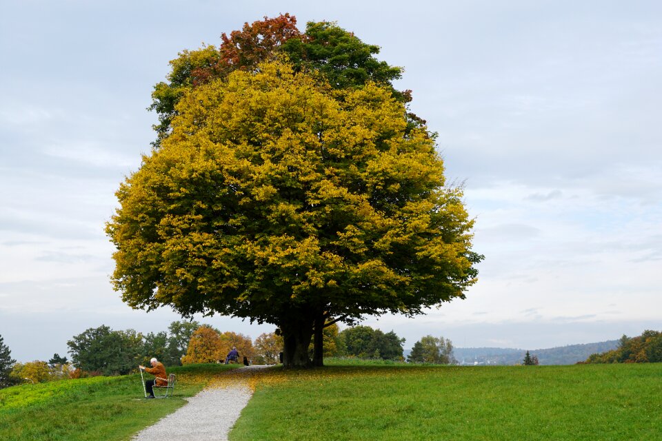 Age park zollikon