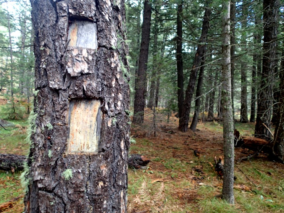 Old School Trail Marker