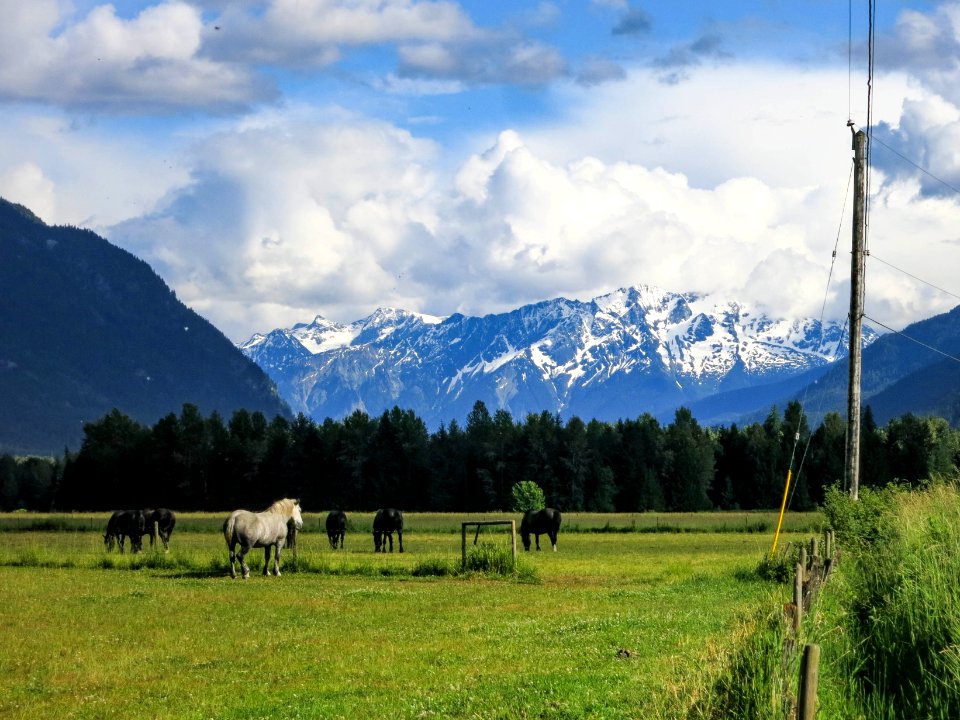 Mt Currie