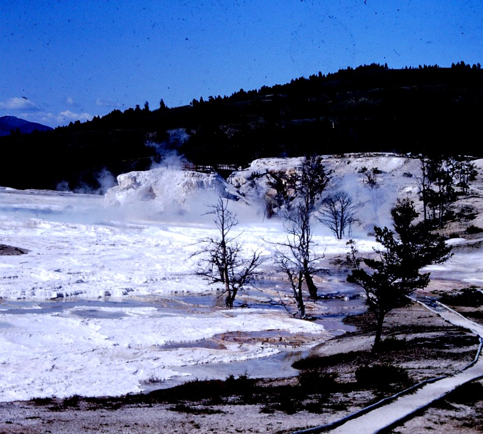 Yellowstone's geysers