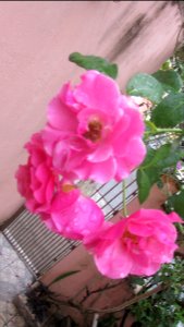 Imagem 104