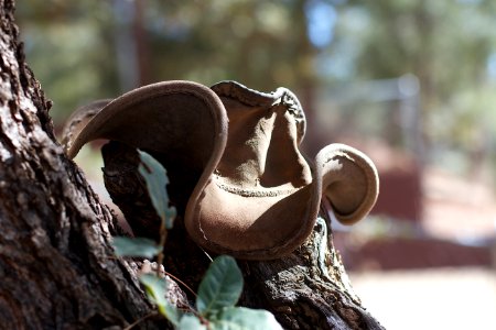 The Hat Has Seen Better Days